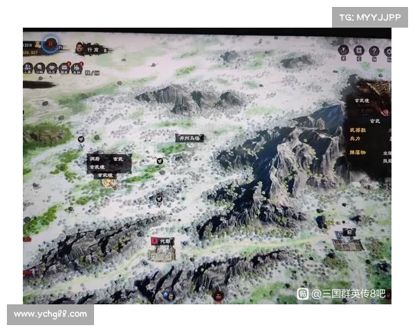 铁杆三国:瞒天过海,探寻VIP等级之秘 铁杆三国:瞒天过海,探寻VIP等级之秘